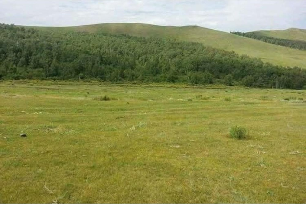 21-р хороо